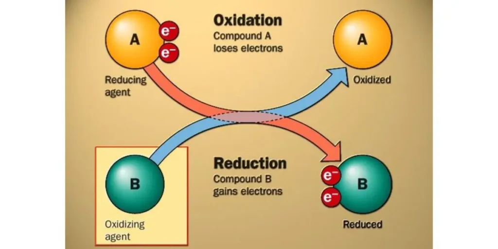 Interference effect between cardio and strength training